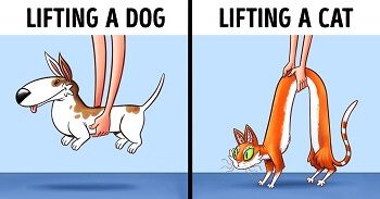 Differences Lifting Cats or Dogs