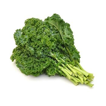 Curly Kale Vegetable