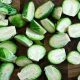 Brussels Sprouts For Goats