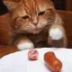 Can Cats Eat Sausages