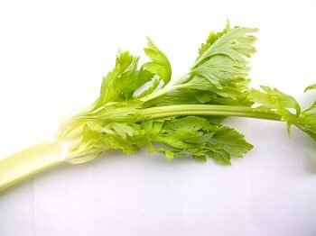 Celery for Tortoise