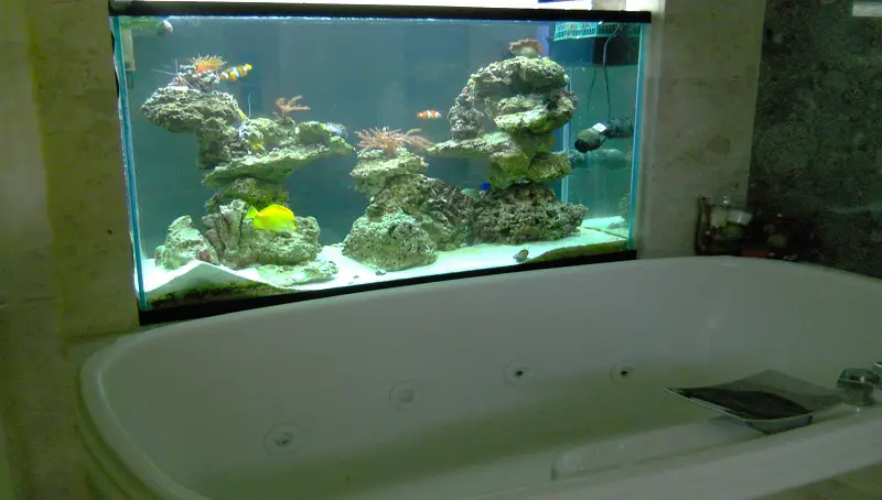 Bathroom Fish Tank