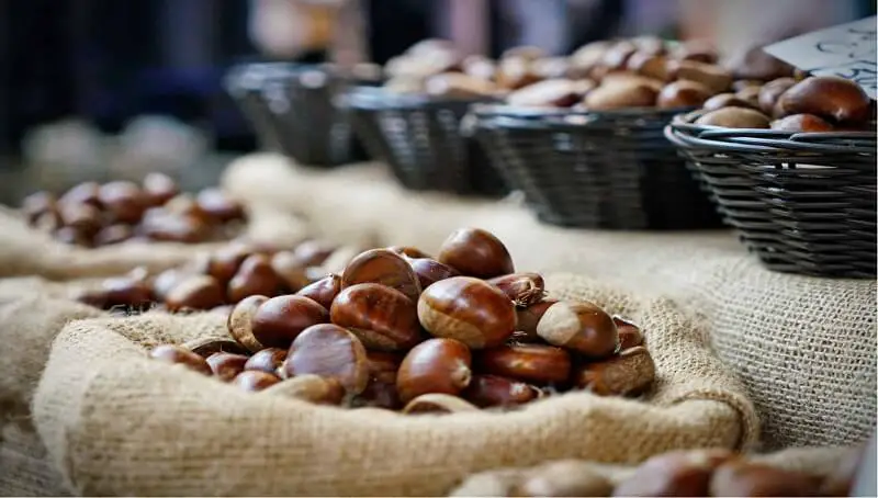 Chestnuts on Dogs' Diet