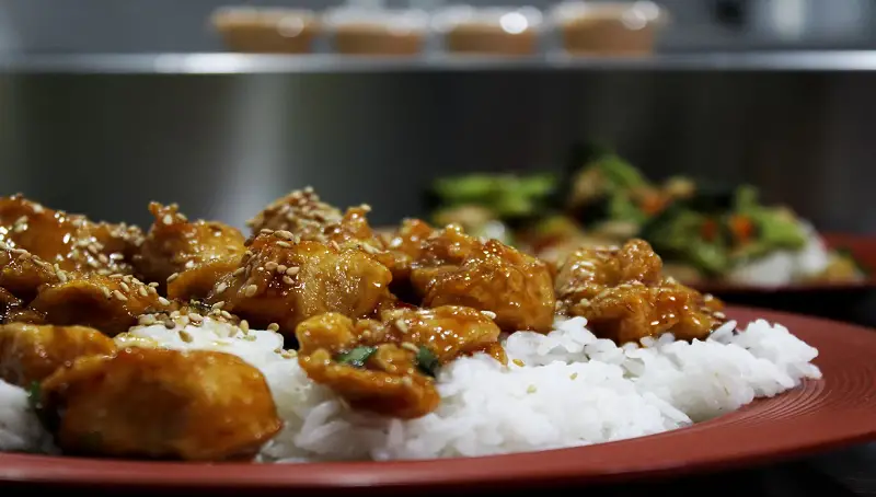 Can Dogs Eat Teriyaki Chicken? Any Risks or Benefits? 3 Dog Eating Teriyaki sauce