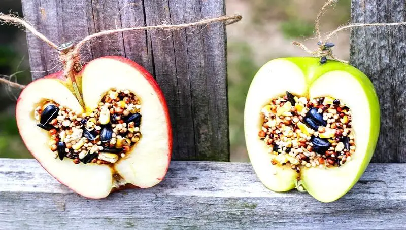 Hanged Apples for Birds