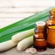 Is Lemongrass Safe For Dogs