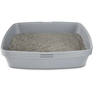 Litter Box