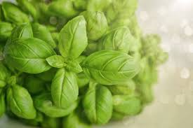 Other Uses for Basil