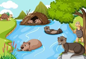 Otters Vs Beavers Cartoon
