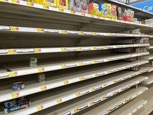Empty Pet Food Shelves