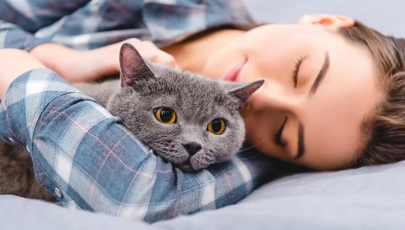 Why Do Cats Sleep With You