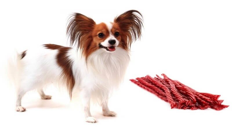 Can Dogs Eat Twizzlers Licorice? What About Twizzlers Licorice? 4 Can Dogs Eat Twizzlers