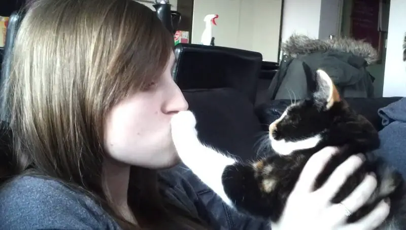 Cat Doesn't Like Kisses