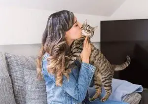 Do Cats Like to Be Kissed