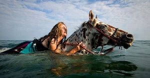 Swimming Horse