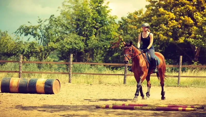 Why Does My Horse Stumble? 2 Horse Ride