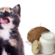 Coconut Oil In Cats