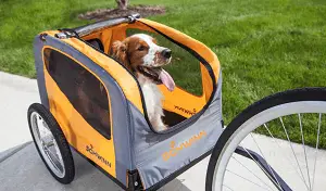 Dog Trailer
