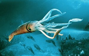 Giant Squid