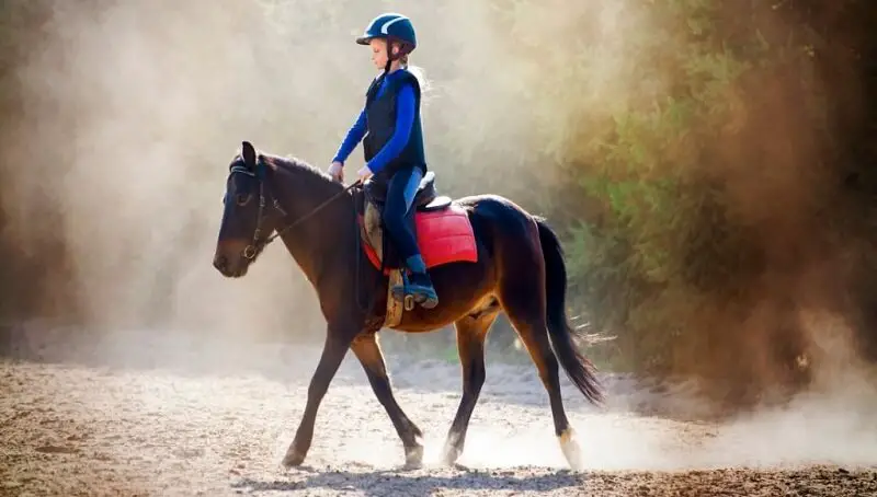 Am I Too Big To Ride A Horse? 2 Too Big To Ride A Horse